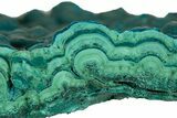 Teal Botryoidal Chrysocolla and Malachite - Chile #310120-1